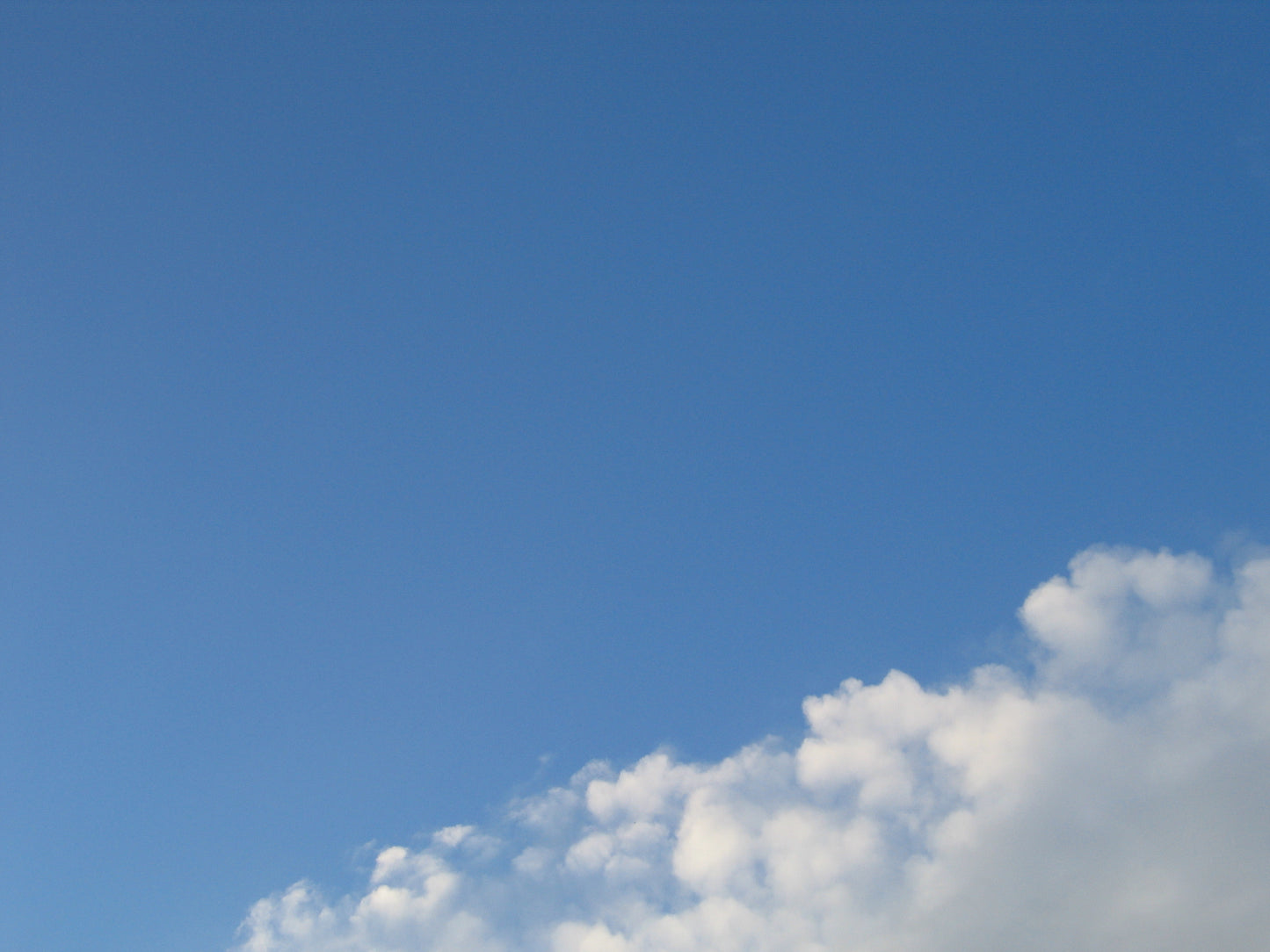 Individual Life Journey