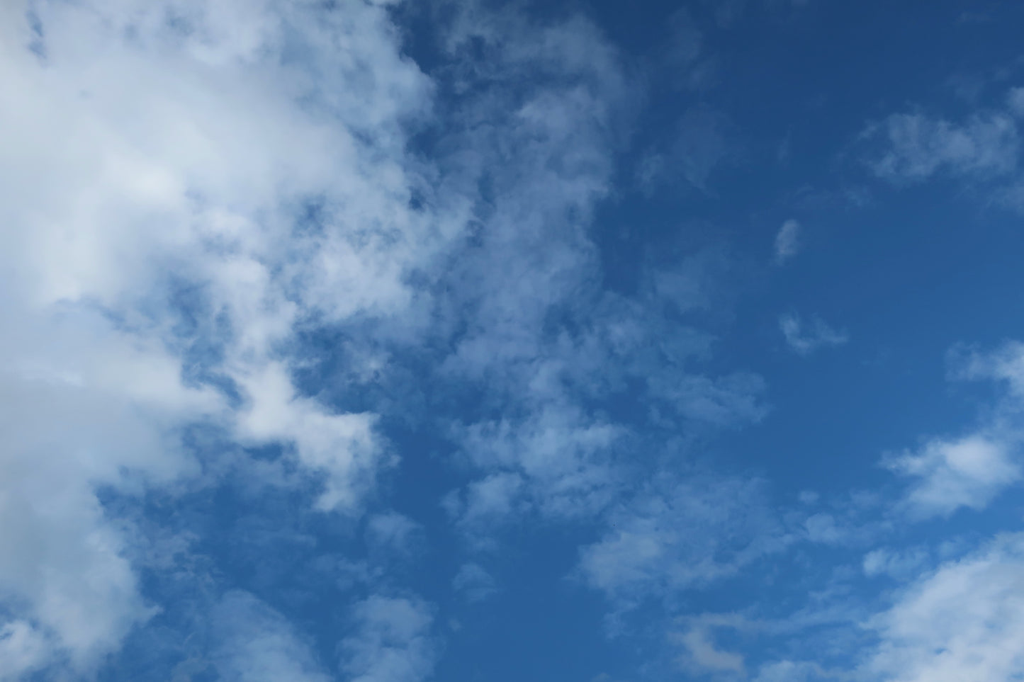 Team or Business Journey